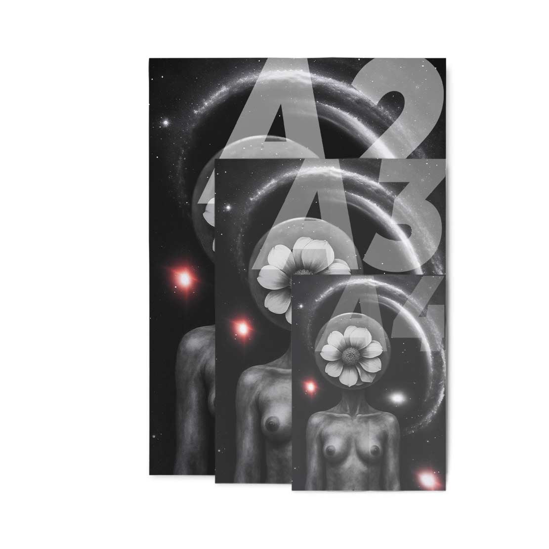 NORTH-STAR Poster Print Art ART-132-GAL-656-24C-INK-CVF - Image 4