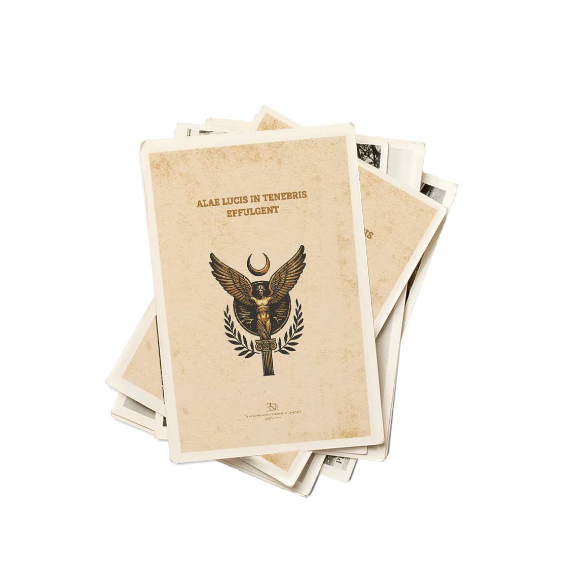 PAX Romana Art RMN-PAX-369-INK-BDR-37D-53B - Image 14